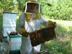 forx farm honey